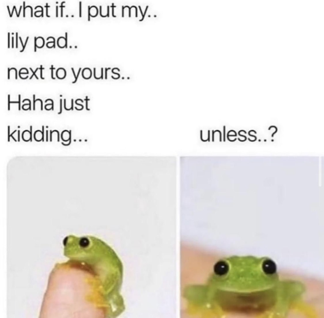 Frogs rule - meme