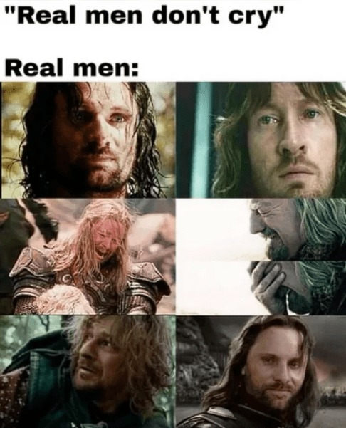 La trilogía de películas del Señor de los Anillos es perfecta, la obra maestra del siglo. Es una película CON VALORES. - meme