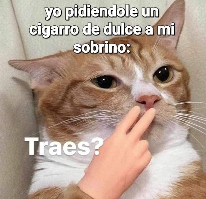 Traes? - meme