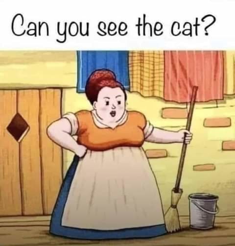 How many think you will see or find it?? - meme