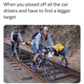 some bikers just ruin it for everyone