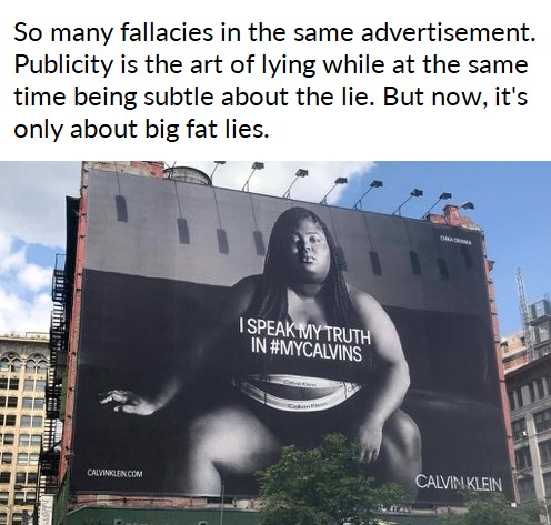 Big fat lies - meme