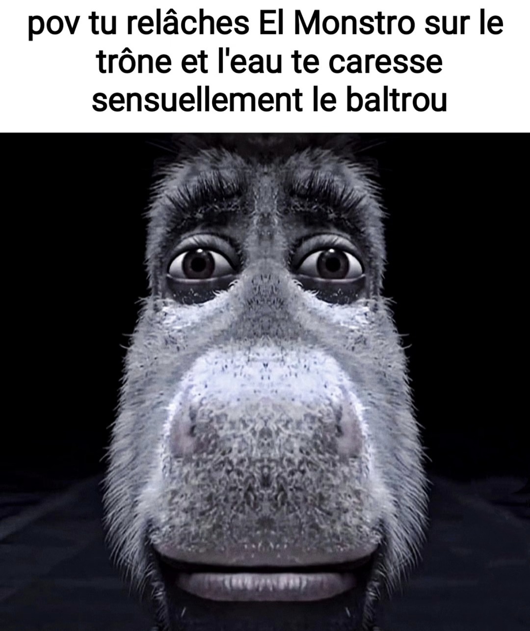 Quand El Monstro touche l'eau et c'est presque romantique - meme