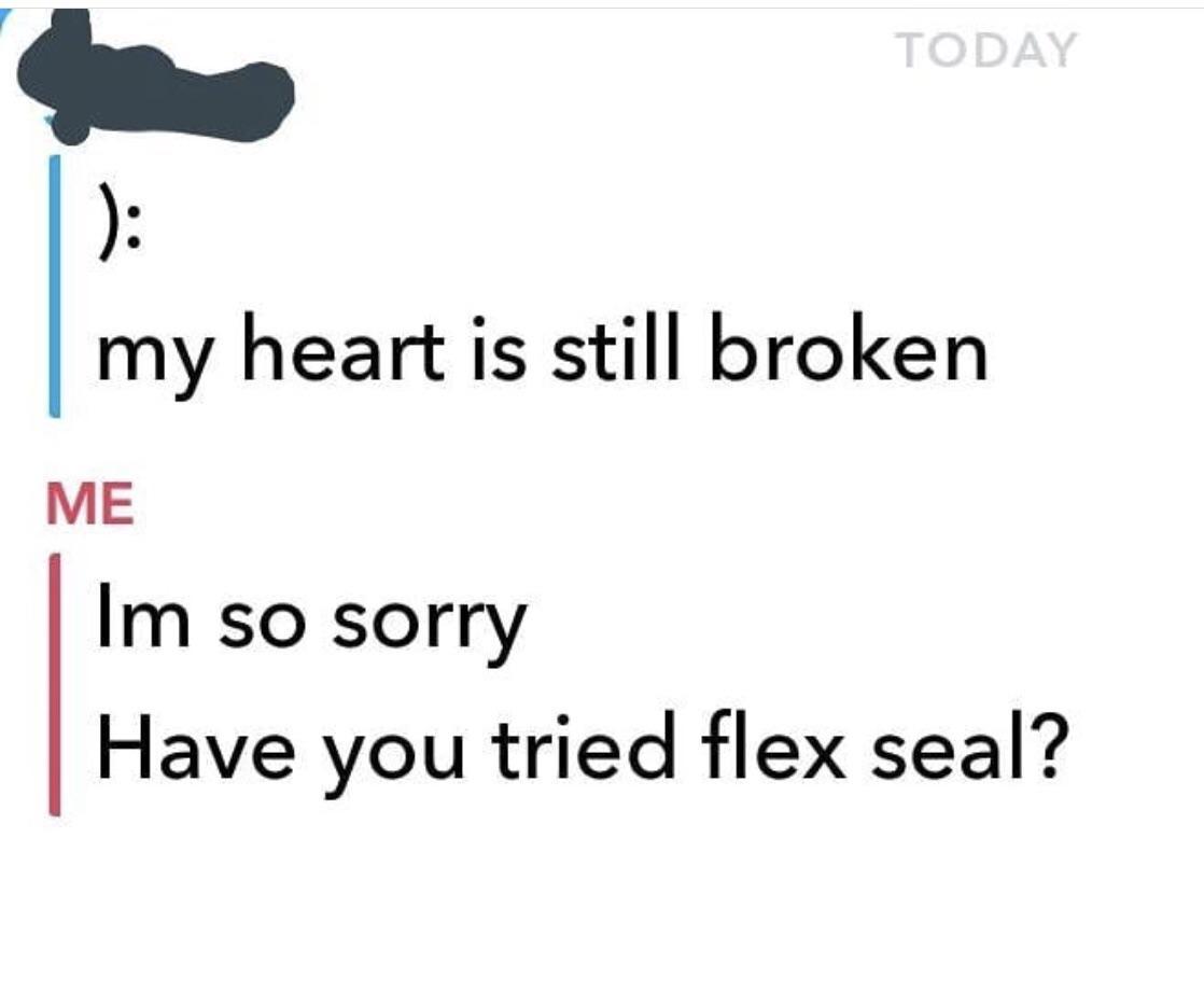 Flex seal repair everything - meme