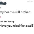Flex seal repair everything
