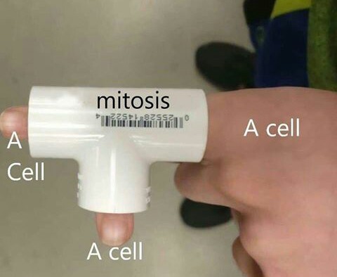 memes de biología