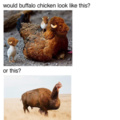 Thy Buffalo Chicken