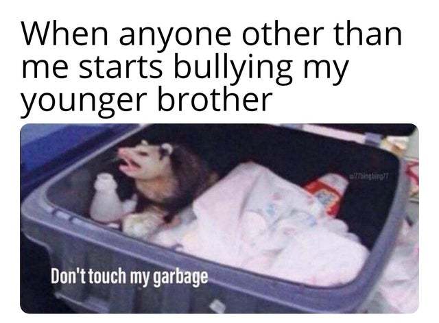 When anyone other than me starts bullying my younger brother - meme