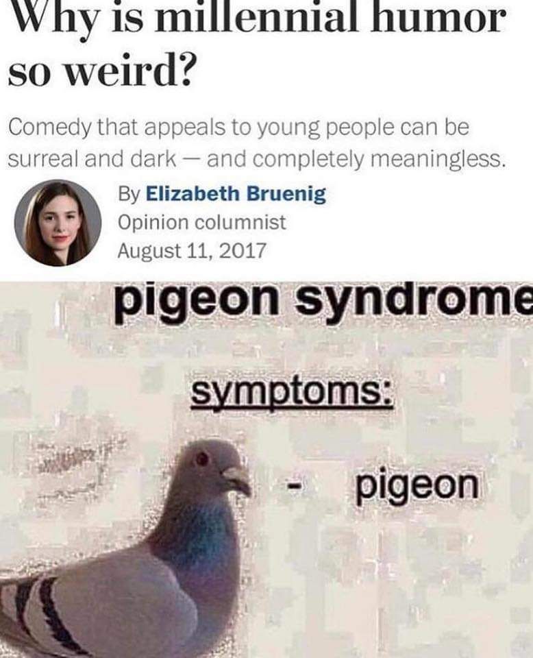 Pigeondstcc - meme