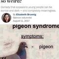 Pigeondstcc