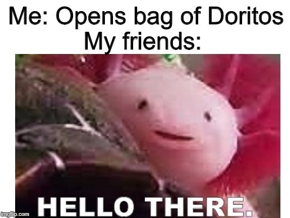 Axolotl - meme