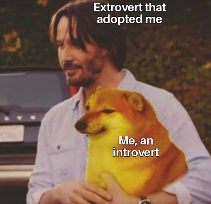 Extroverts adopting introverts - meme