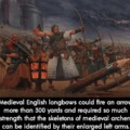 Medieval English longbows