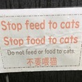 To food stop cat