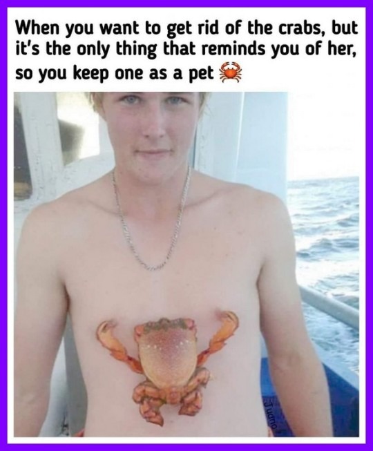 crabs - meme
