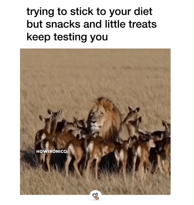 Be strong. - meme