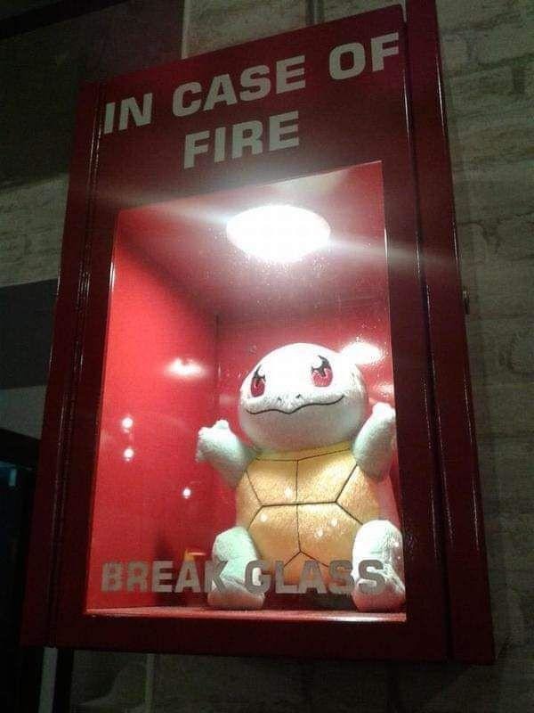 IN BREAR GLAES OF CASE FIRE. Sure, thanks. Whatever that means - meme