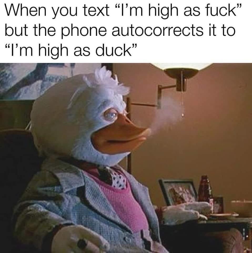 Autocorrect turned me from stoner to waterfowl - meme