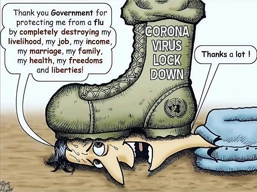 Covid lockdowns in a nutshell - HD repost - meme