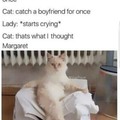 What has you cat told you