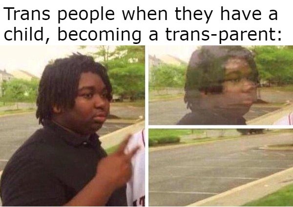 the ultimate fate of all trans people - meme