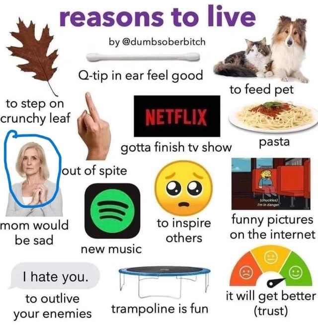 Reasons to live - meme