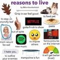 Reasons to live