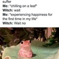 Happy frog meme