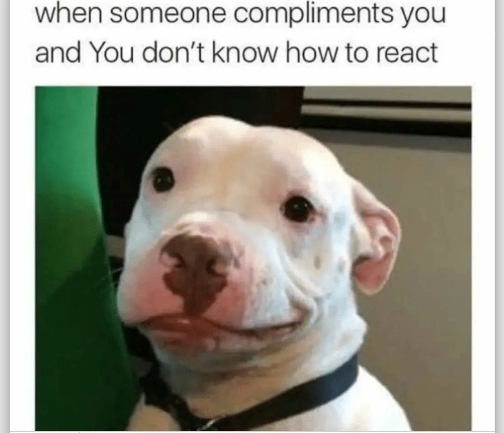 Compliment - meme