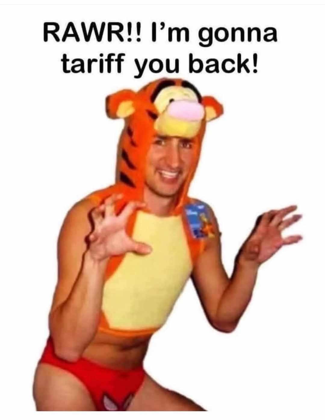 Trudeau - meme