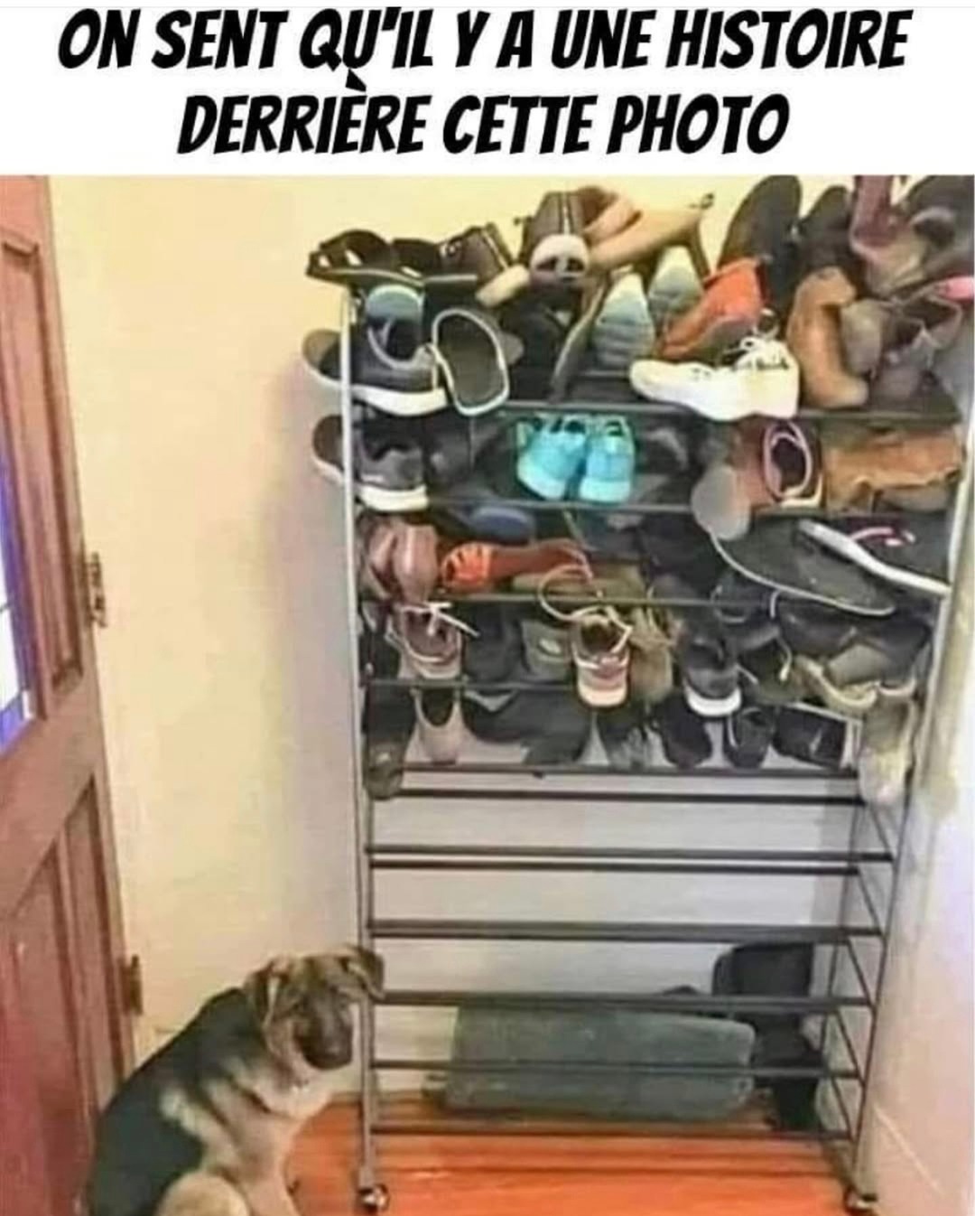 Ce genre de photo qui cache une histoire trop sombre - meme