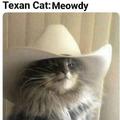 Texan cat