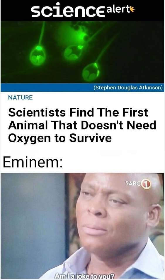 Scientists find the first animal that doesn't need oxygen to survive - meme