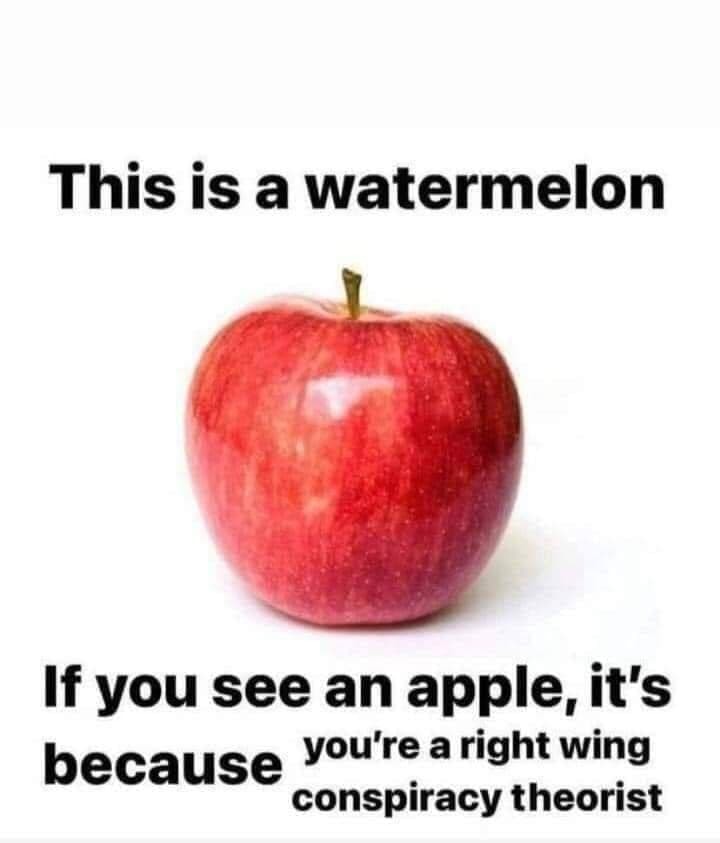 1984 watermelon - meme