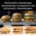 McDonalds advertisement vs reality