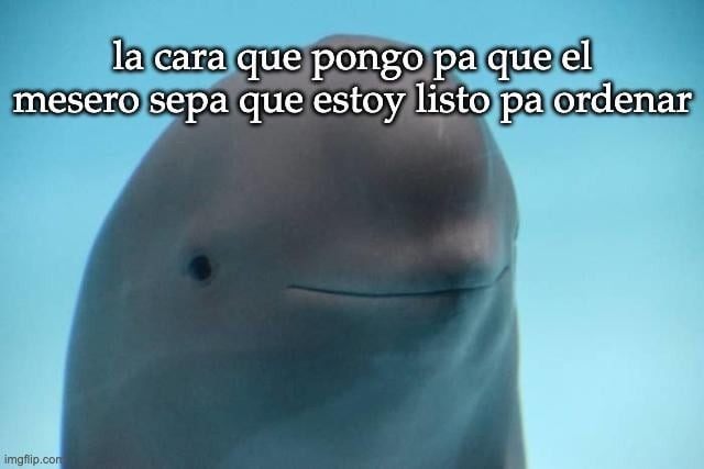 Cuando puedas - meme