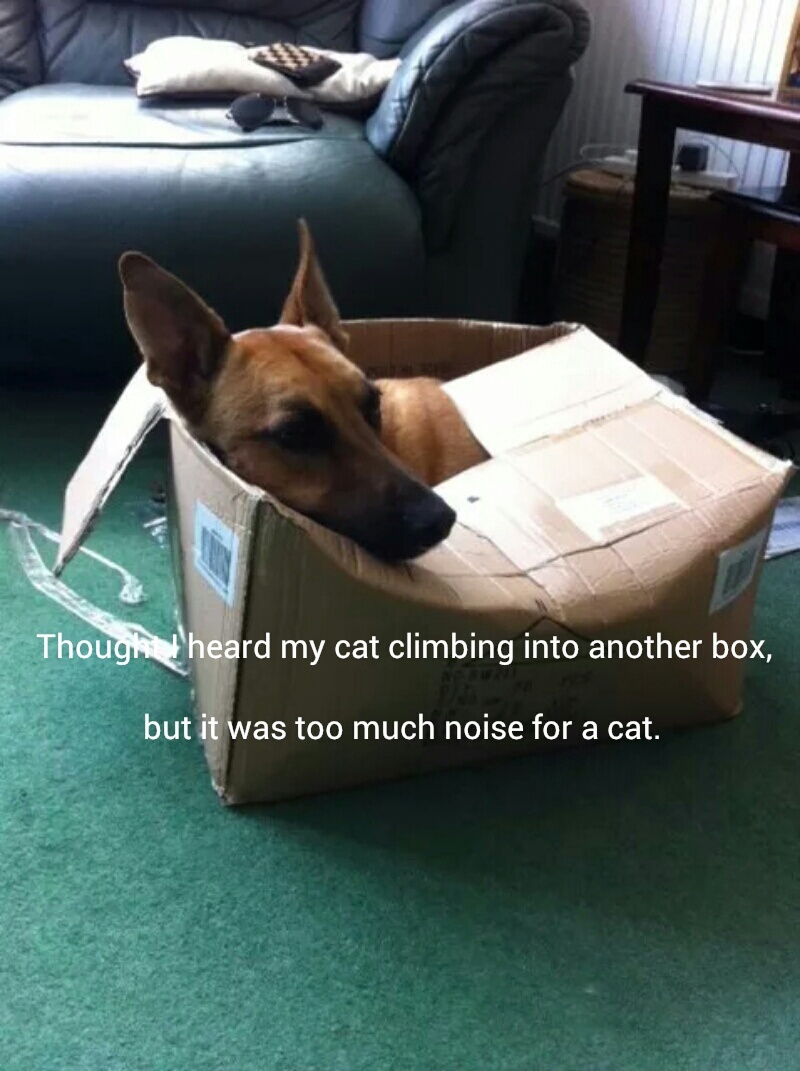He uses boxes a lot now - meme