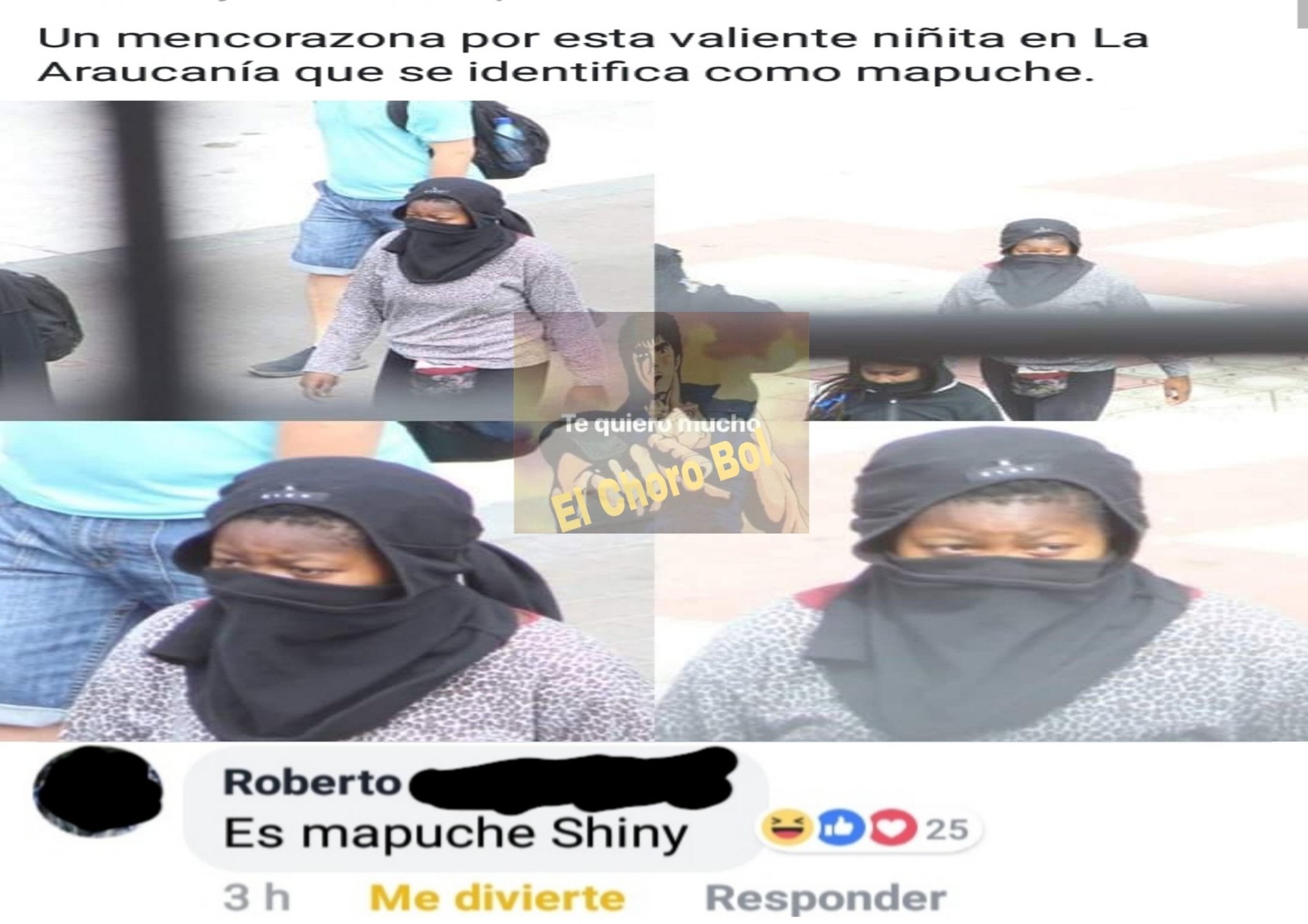 O O F Un Mapuche Variocolor - meme