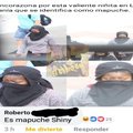 O O F Un Mapuche Variocolor