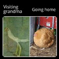 Visiting grandma