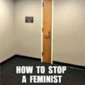 Como detener a una feminista?