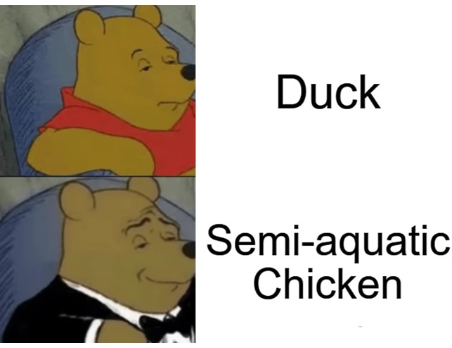 Semi-aquatic chicken just sounds better haha - meme