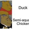 Semi-aquatic chicken just sounds better haha