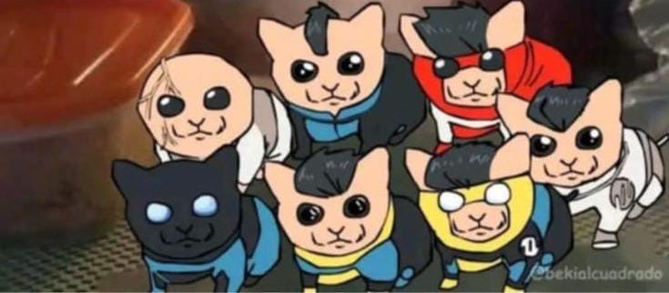 Miaurk grayson - meme