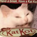 Hershel's KatKot