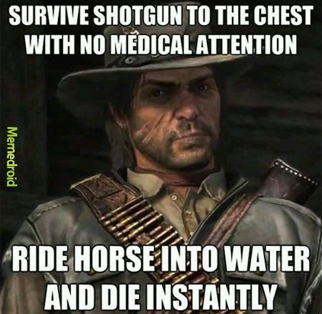 Red Dead Redemption Logic - meme