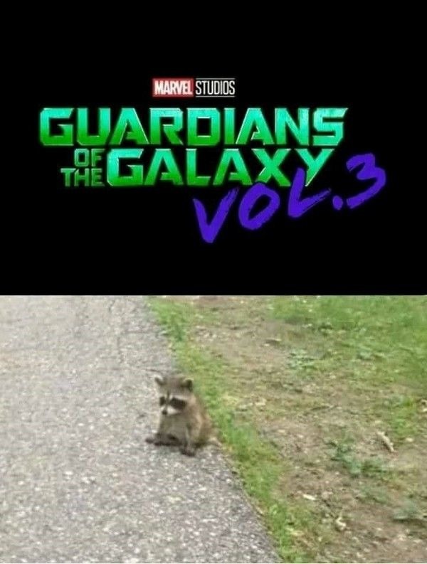 meme de guardianes de la galaxia 3