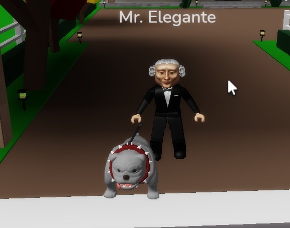 Mr. Elegante xd (el perro se llama princesita) - meme