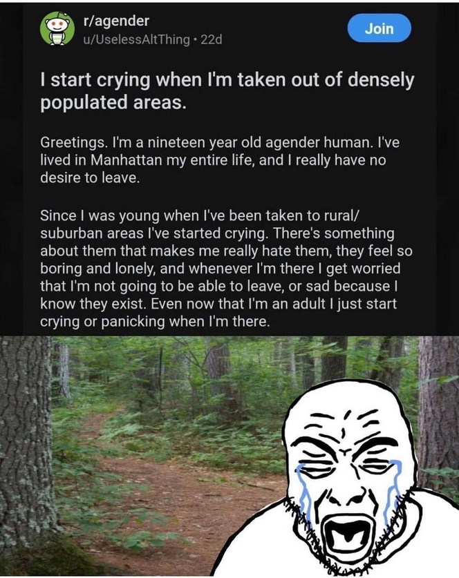 tags - meme