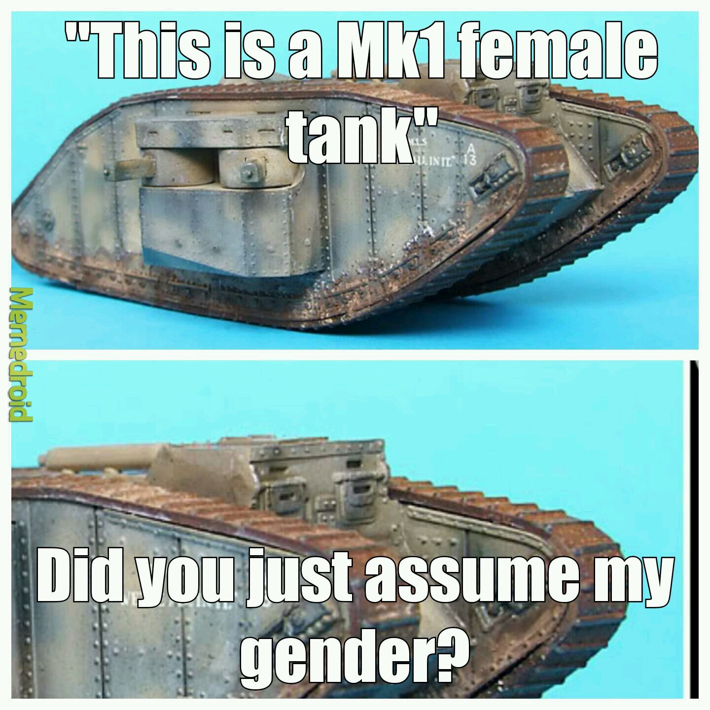 Males had cannons not MGs - meme